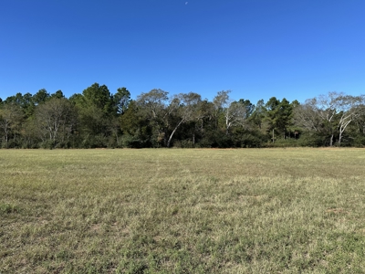 East Texas Lots For Sale (Alto,TX) - image 5