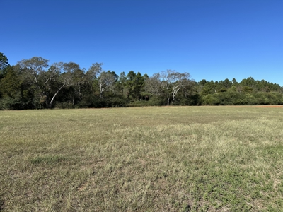 East Texas Lots For Sale (Alto,TX) - image 4