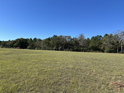 East Texas Lots For Sale (Alto,TX) - image 1