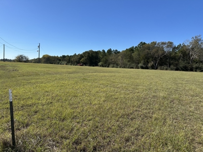 East Texas Lots For Sale (Alto,TX) - image 3
