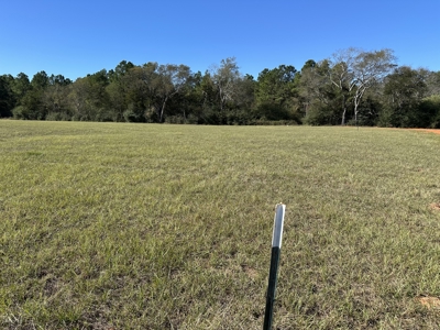 East Texas Lots For Sale (Alto,TX) - image 2