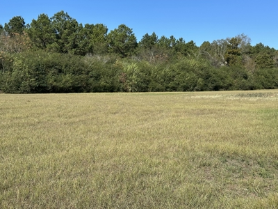 East Texas Lots For Sale (Alto, TX) - image 3
