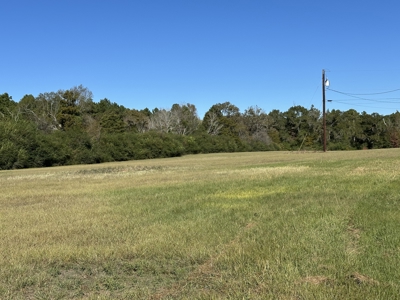 East Texas Lots For Sale (Alto, TX) - image 2