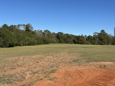 East Texas Lots For Sale (Alto, TX) - image 6