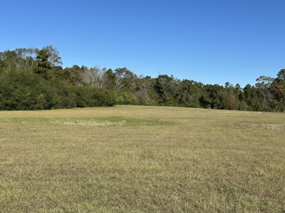 East Texas Lots For Sale (Alto, TX) - image 4