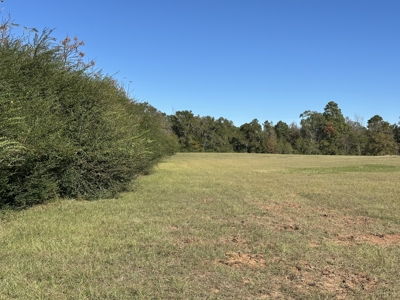 East Texas Lots For Sale (Alto, TX) - image 5
