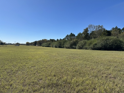 East Texas Lots For Sale (Alto, TX) - image 7