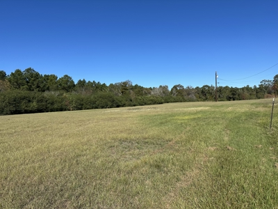 East Texas Lots For Sale (Alto, TX) - image 1