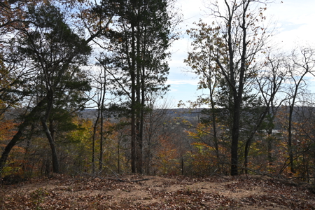 112-Acre Timberland Retreat with Cabin in Linden, Tennessee - image 16