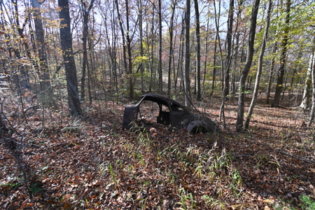 112-Acre Timberland Retreat with Cabin in Linden, Tennessee - image 6