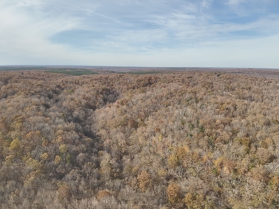 112-Acre Timberland Retreat with Cabin in Linden, Tennessee - image 30