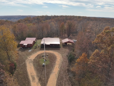 112-Acre Timberland Retreat with Cabin in Linden, Tennessee - image 35