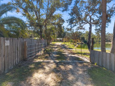 Coastal Steinhatchee Home on 3.96 Acres with Pond 340 Roys Rd - image 20