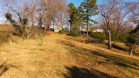 Residential Lots for sale in the Ozarks | Thayer, Missouri - image 7