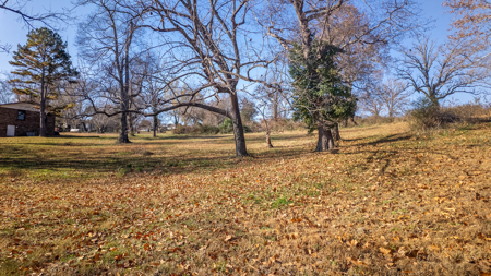 Residential Lots for sale in the Ozarks | Thayer, Missouri - image 9