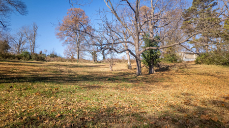 Residential Lots for sale in the Ozarks | Thayer, Missouri - image 10