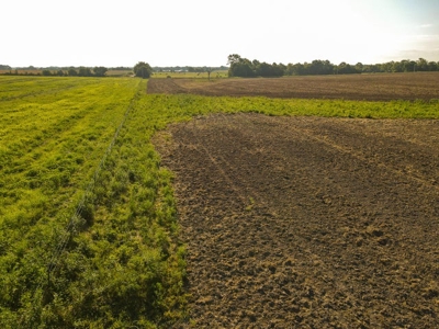 Land For Sale Vernon County Mo - image 5