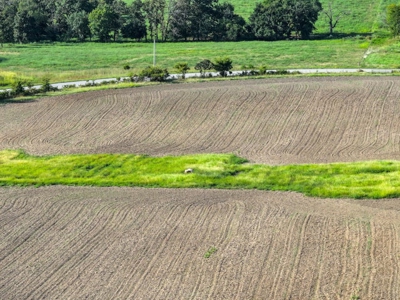 Land For Sale Vernon County Mo - image 16