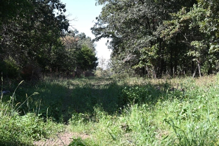 Land For Sale Vernon County Mo - image 19