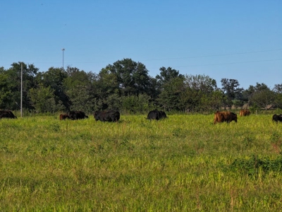Land For Sale Vernon County Mo - image 15