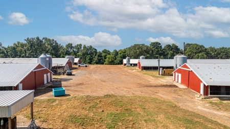 Turn Key 6 House Broiler Farm in Linden, Texas - image 7