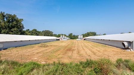Turn Key 6 House Broiler Farm in Linden, Texas - image 11