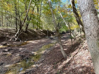 158.8 Acres Creek Frontage Clay County MS - image 16