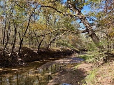 158.8 Acres Creek Frontage Clay County MS - image 2