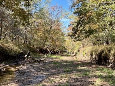 158.8 Acres Creek Frontage Clay County MS - image 25