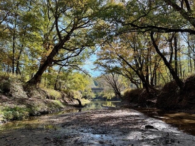 158.8 Acres Creek Frontage Clay County MS - image 1