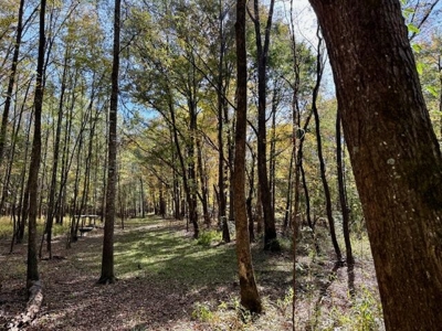 158.8 Acres Creek Frontage Clay County MS - image 7