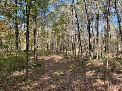 158.8 Acres Creek Frontage Clay County MS - image 26