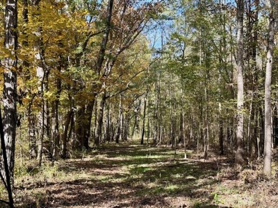 158.8 Acres Creek Frontage Clay County MS - image 10