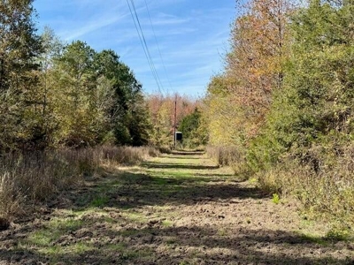 158.8 Acres Creek Frontage Clay County MS - image 12