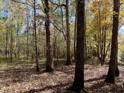 158.8 Acres Creek Frontage Clay County MS - image 5