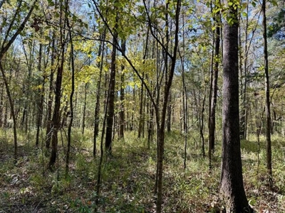 158.8 Acres Creek Frontage Clay County MS - image 22