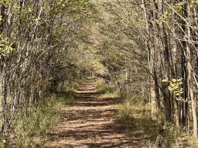 158.8 Acres Creek Frontage Clay County MS - image 17