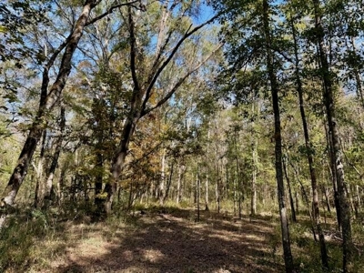 158.8 Acres Creek Frontage Clay County MS - image 18