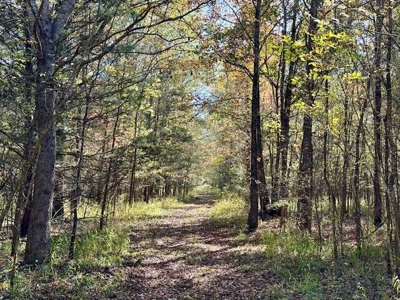 158.8 Acres Creek Frontage Clay County MS - image 4