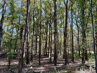 158.8 Acres Creek Frontage Clay County MS - image 11