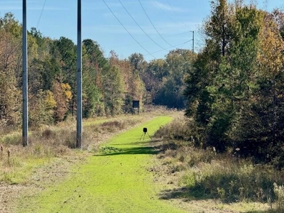 158.8 Acres Creek Frontage Clay County MS - image 9