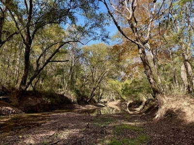 158.8 Acres Creek Frontage Clay County MS - image 15