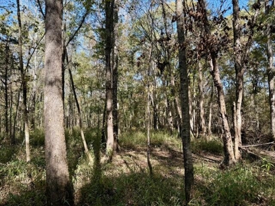 158.8 Acres Creek Frontage Clay County MS - image 21