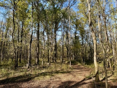 158.8 Acres Creek Frontage Clay County MS - image 20