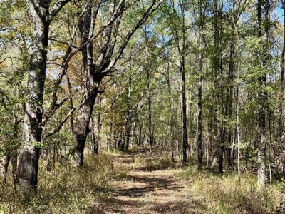 158.8 Acres Creek Frontage Clay County MS - image 6