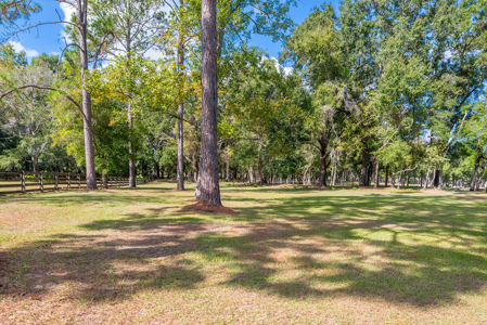 Charming 3 bedroom home for sale in Alachua, FL - image 10