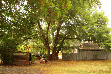 Historic Dist. Home for Sale in Moscow, Id.! - image 5