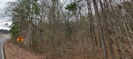 8 Acres Across from Publix in Chelsea, Alabama - image 2