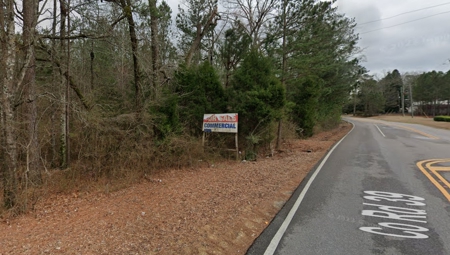 8 Acres Across from Publix in Chelsea, Alabama - image 4