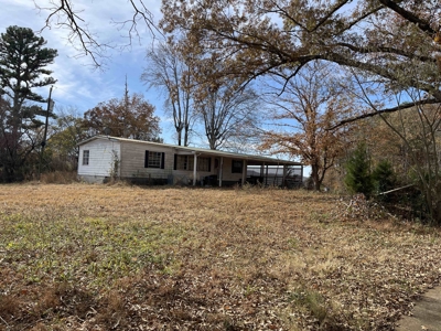Land To Build On In Hardin County Tn, 9 +/- Ac, Creek, Old Home - image 14
